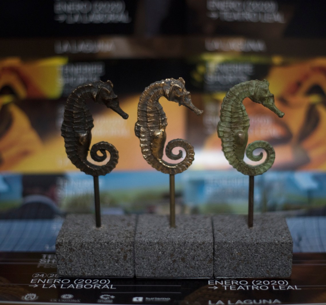 público_internacional_canarias copia