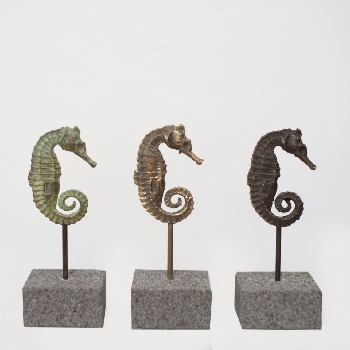 público_internacional_canarias